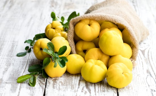 Fresh quince fruits on white wooden table